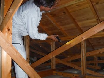 屋根裏の状態確認